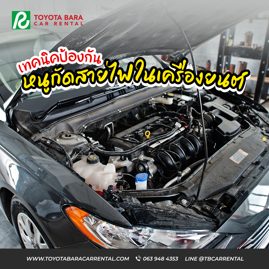 เทคนิคป้องกันหนูกัดสายไฟในเครื่องยนต์