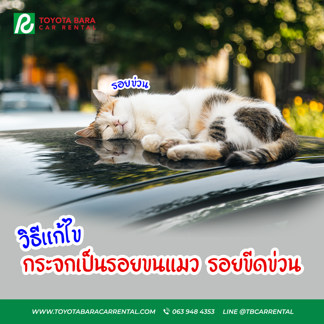 กระจกเป็นรอยขนแมว รอยขีดข่วน แก้ไขอย่างไร