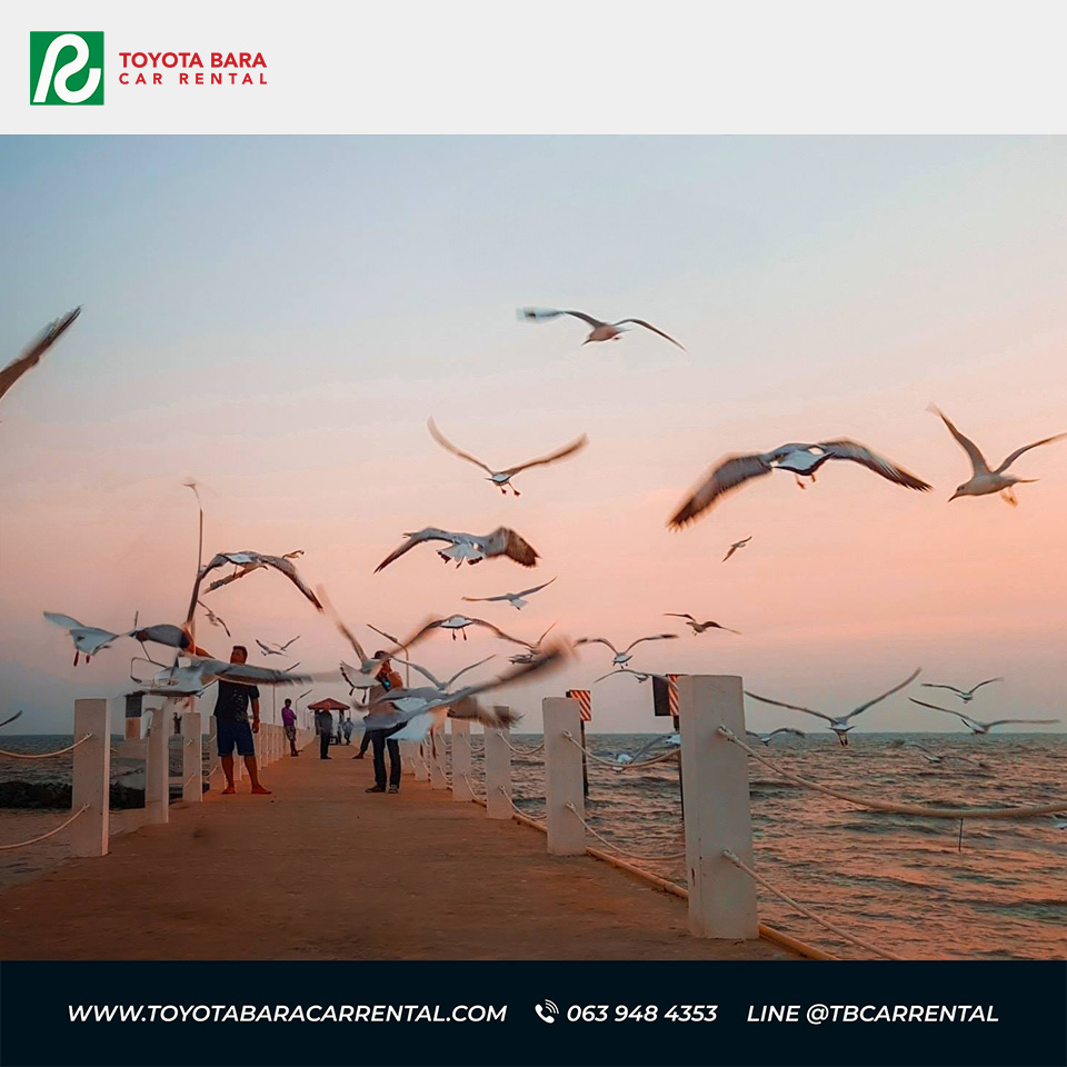 ขับรถเพียง 2 ช.ม ชมพระอาทิตย์ตกดิน ดูนก รับลม ณ บางปู สมุทรปราการ