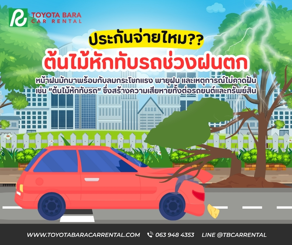 ต้นไม้หักทับรถช่วงฝนตก ประกันจ่ายไหม? เจ้าของรถควรรู้
