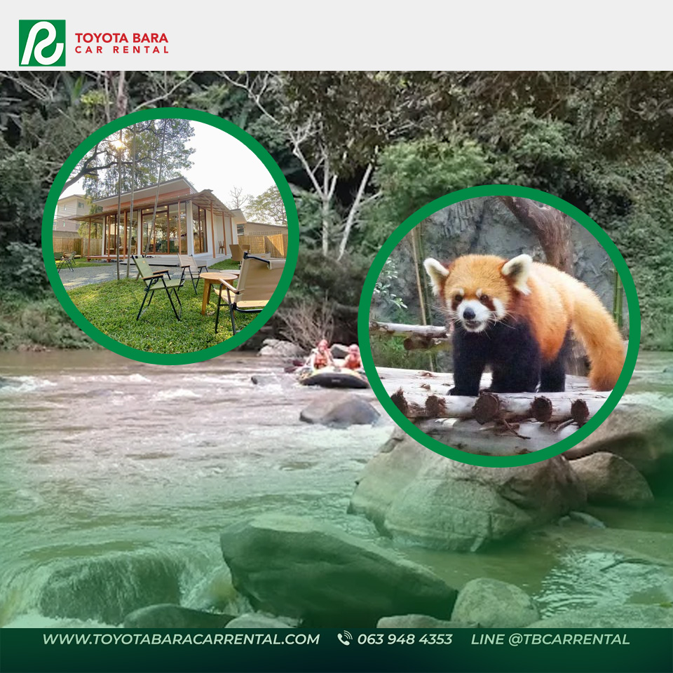 เที่ยวเชียงใหม่ 2026: คู่มือท่องเที่ยวฉบับอัปเดทล่าสุด